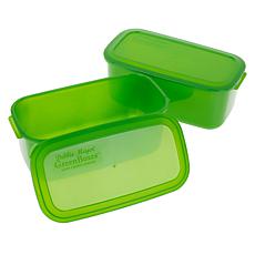 "As Is" Debbie Meyer Home Collection 4-piece Set of XL GreenBoxes 