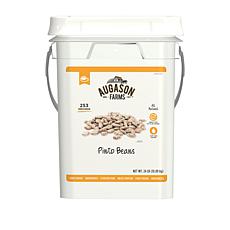 Augason Farms 253-Serving Pinto Beans