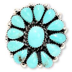 Chaco Canyon Sterling Silver Campitos Turquoise Cluster Ring