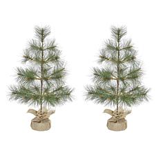 Fraser Hill Farm 3-ft. Farmhouse Fir Christmas Tree with Burlap Bag...