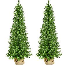 Fraser Hill Farm 4-Ft. Boxwood Porch Tree in Burlap Bag, Set of 2