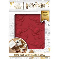 Harry Potter Chocolate Owls Kit with Recipes