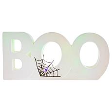 Harvest Lane Illuminated Color Morphing Boo Decoration w/Spider