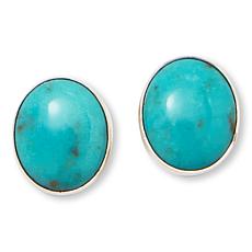 Jay King Rio Azul Turquoise Sterling Silver Oval Stud Earrings