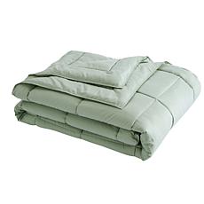 Lotus Home Stayclean Bacteria Reducing Down Alternative Blanket - T...