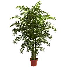 Nearly Natural 6.5 ft. Areca Palm UV Resistant Indoor/Outdoor Plant