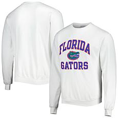 Officially Licensed Men's Florida Gators Pullover Sweatshirt