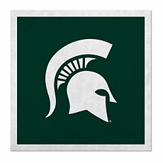 Officially Licensed NCAA 23" Felt Wall Banner- Michigan State Spartans