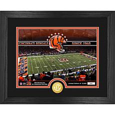 Officially Licensed NFL Bengals Stadium Bronze Coin Photo Mint