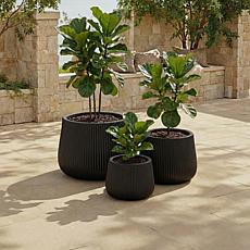 Safavieh Sara 3-Piece Green Fiber Clay Planter Pots