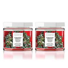 ScentWorx by Slatkin + Co. 2-Pack 14.5 oz. Cinnamon Wreath Candles
