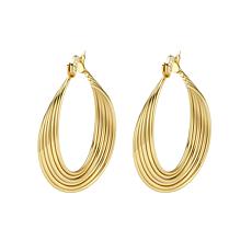 Stately Steel Stainless Steel Overlapping Hoop Earrings