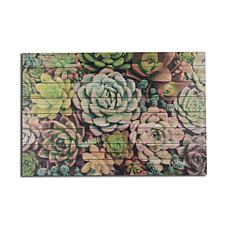 Succulent Garden 24x36 Print on Wood