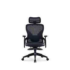 TopJob Aura Ergonomic Chair