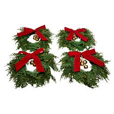 Winter Lane Set of 4 14" Lit Wreaths