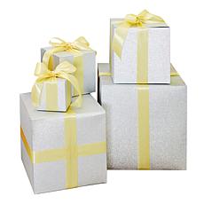 Winter Lane Silver Glitter Gift Boxes w/Gold Ribbon 5-Piece Set