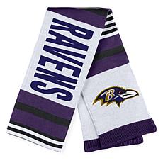 Baltimore Ravens 60 x 80 Helmet Stripes Flannel Fleece Blanket