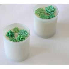 Wood and Wine Succulents Sangria Soy Candle 11oz