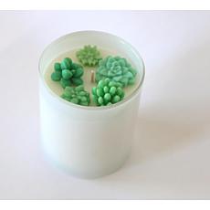 Wood and Wine Succulents Spring Soy Candle 11oz