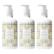 Beekman 1802 Vanilla Absolute Hand & Body Wash 3-pack Auto-Ship®