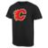 Men's Black Calgary Flames Team Primary Logo T-Shirt