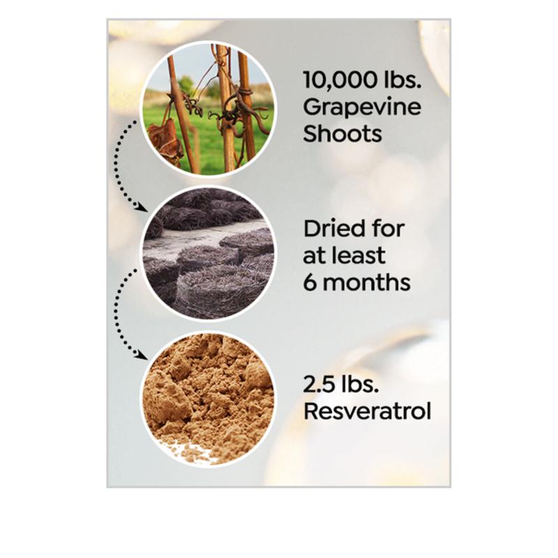 asam resveratrol serum