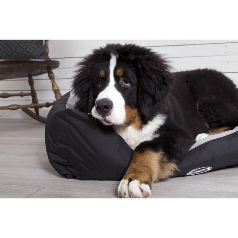 scruffs expedition box bed