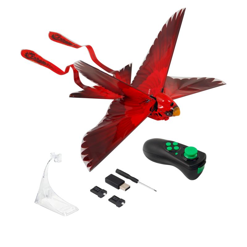 remote control flying bird cat toy