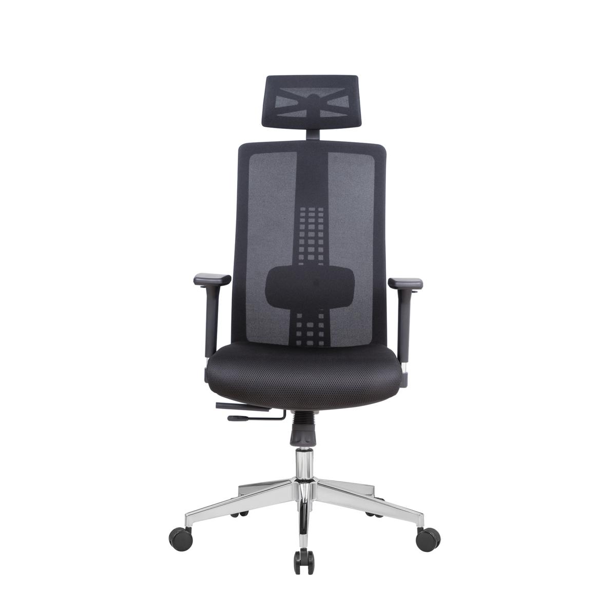 Lanbo Ergonomic Office Chair with SynchroTilt, 23.6x21.7x50.4