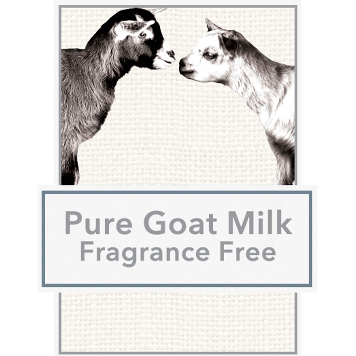 Beekman 1802 Goat Milk Hand Wash and Lotion Caddy Set - Unscented