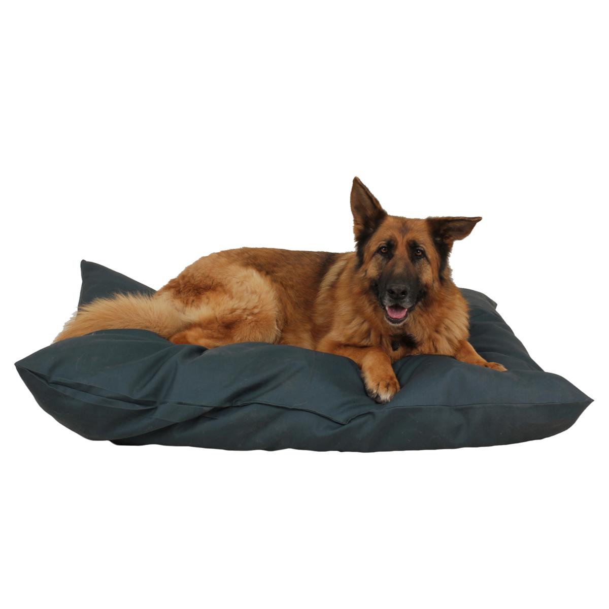 https://i04.hsncdn.com/is/image/HomeShoppingNetwork/rocs1200/cpc-indooroutdoor-shebang-pet-bed-large-d-20190916195747973~6525714w_A7W.jpg