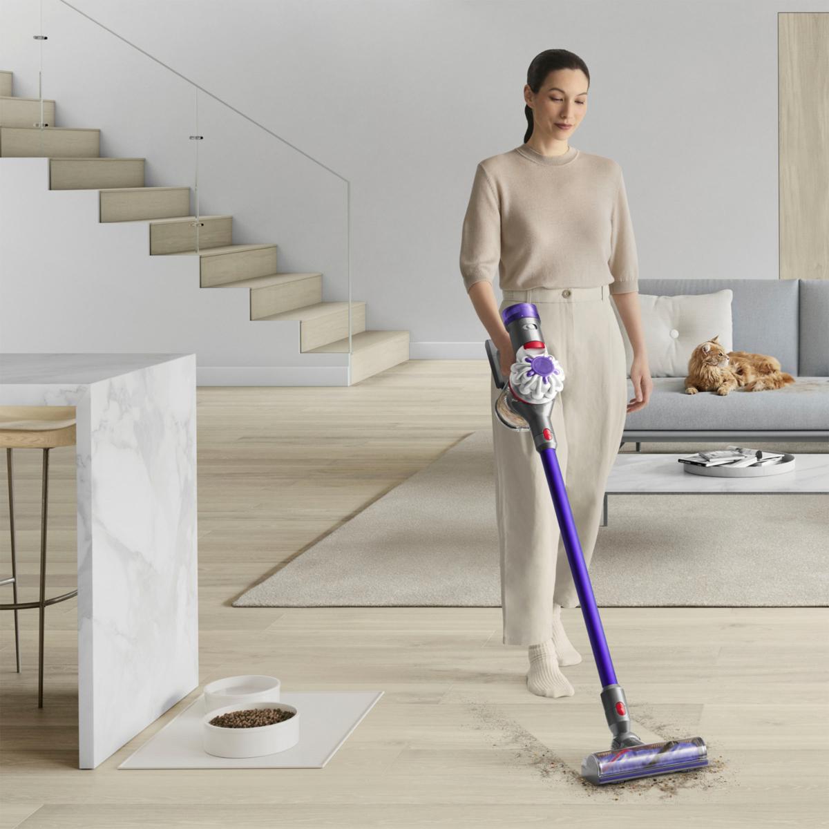 Hot Dyson v8 origin