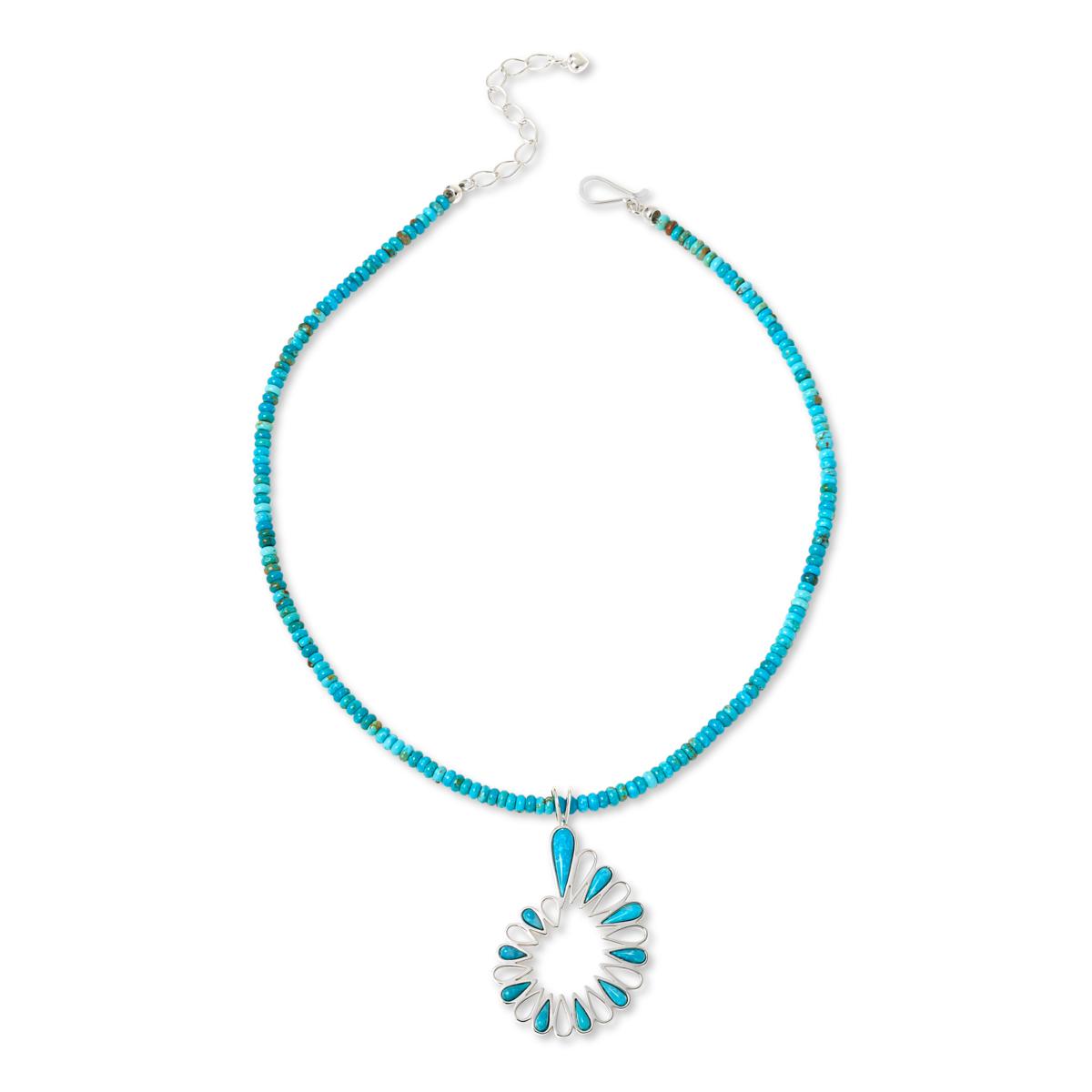 Jay King Gallery Collection Sonoran Turquoise Pendant with Necklace ...