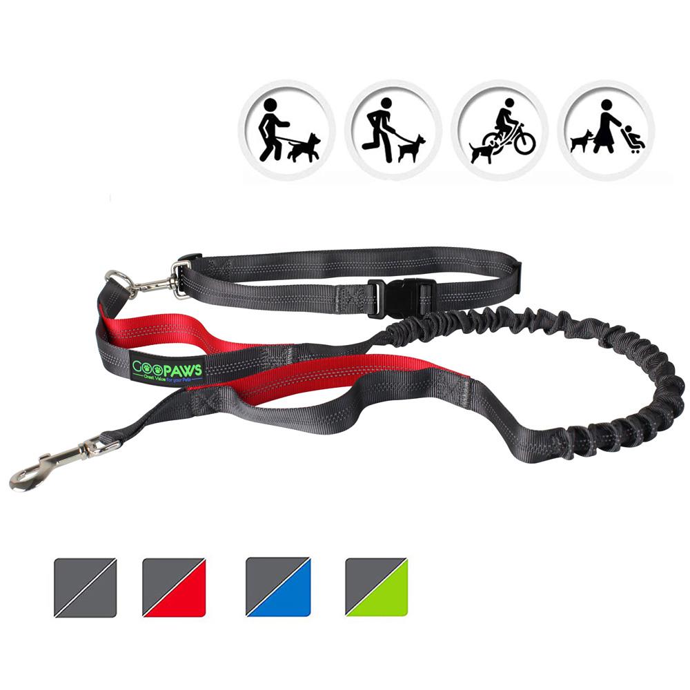 Are Bungee Leashes Good For Dogs