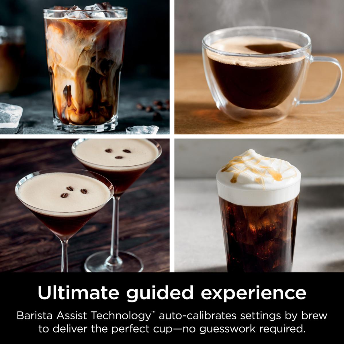 ドリンクエクスプレス Ninja Luxe Café Premier Series Espresso, Coffee and Cold