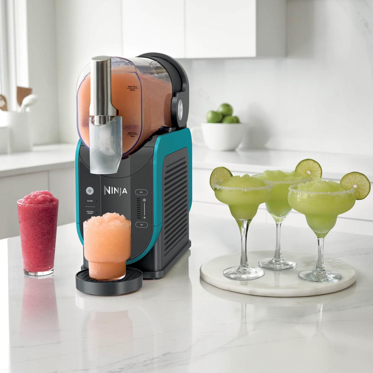 Ninja Creami Frozen Treat Mkr Cinnam