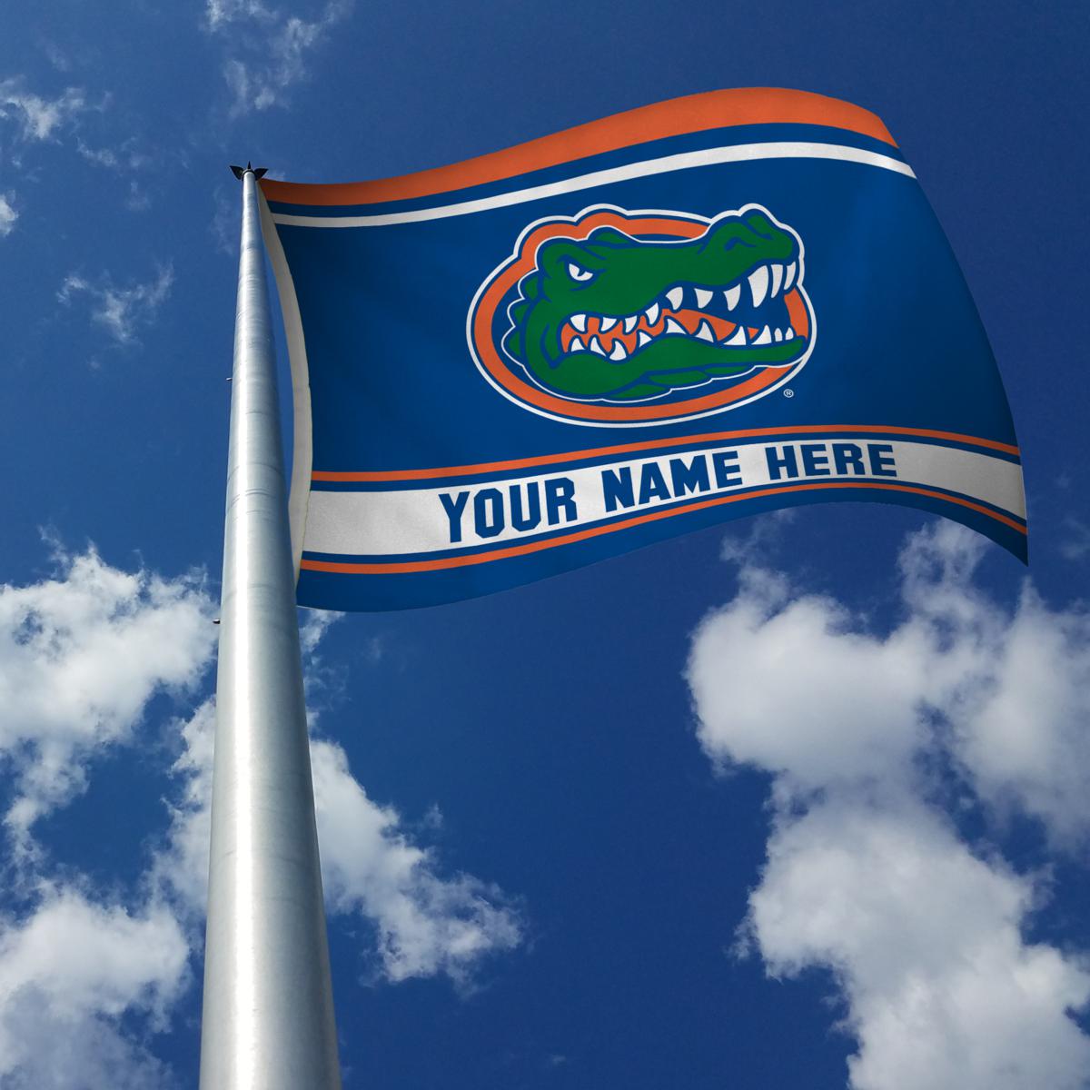 Florida Gators NCAA 2 Pack Solid Car Flag