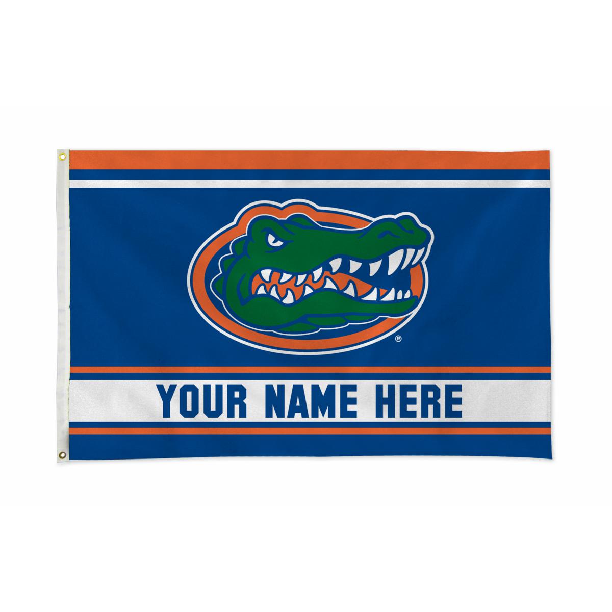 U of Florida: Florida Gators Helmet - Officially Licensed NCAA Removab