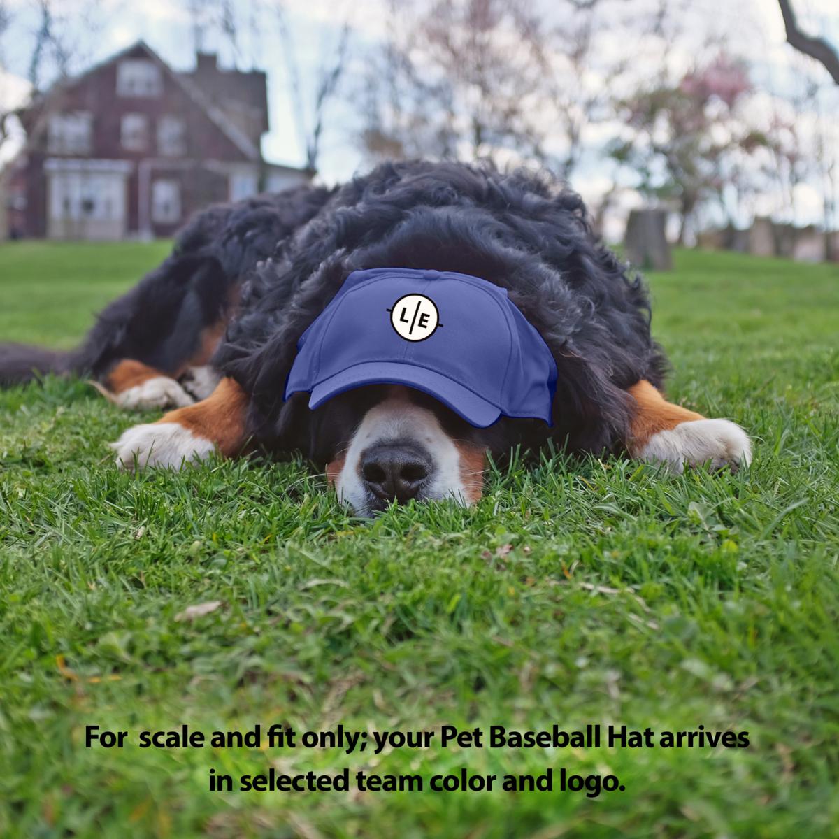 University of North Carolina Hats, University of North Carolina