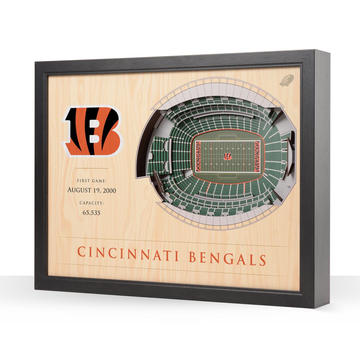 Officially Licensed NFL Cleveland Browns StadiumView 3D Wall Art