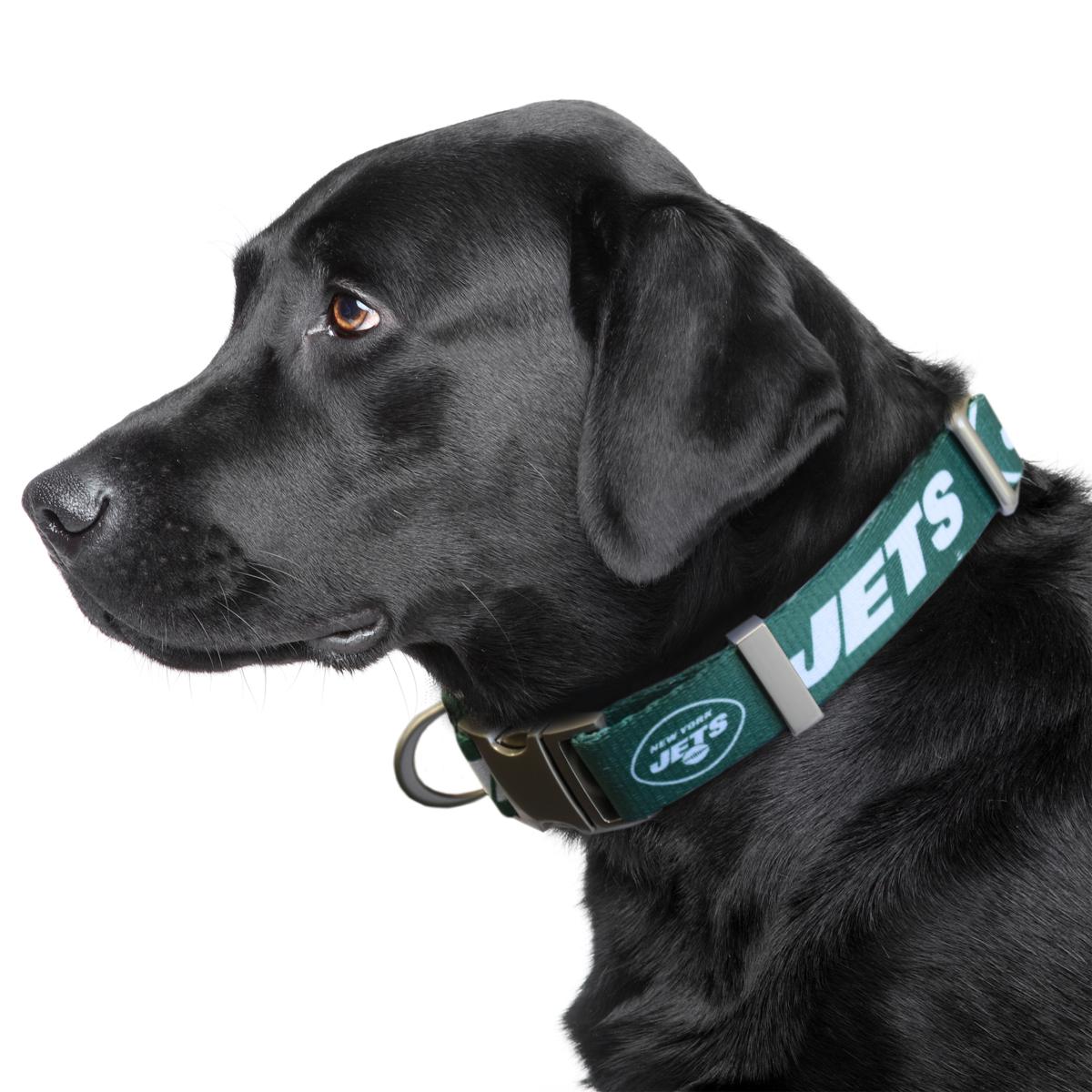 New york shop jets dog collar