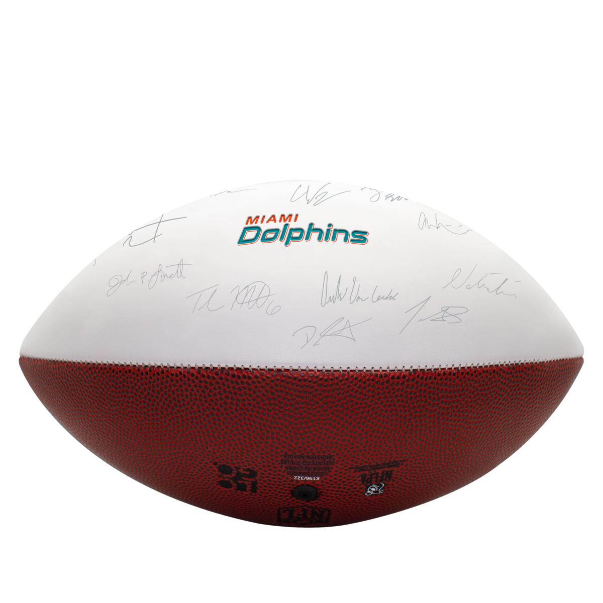 Logo Miami Dolphins Full Size Composite Fooball