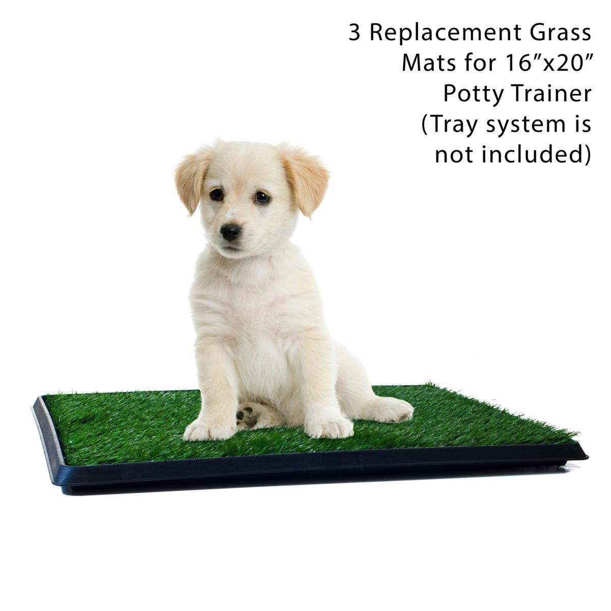 Purchase K9Grass® Accessories, K9Grass Mats