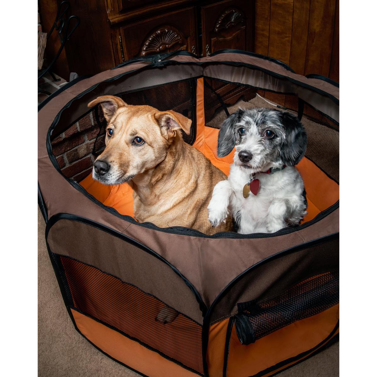 Pet Life Large Soft Folding Collapsible Expandable Pet Dog Crate