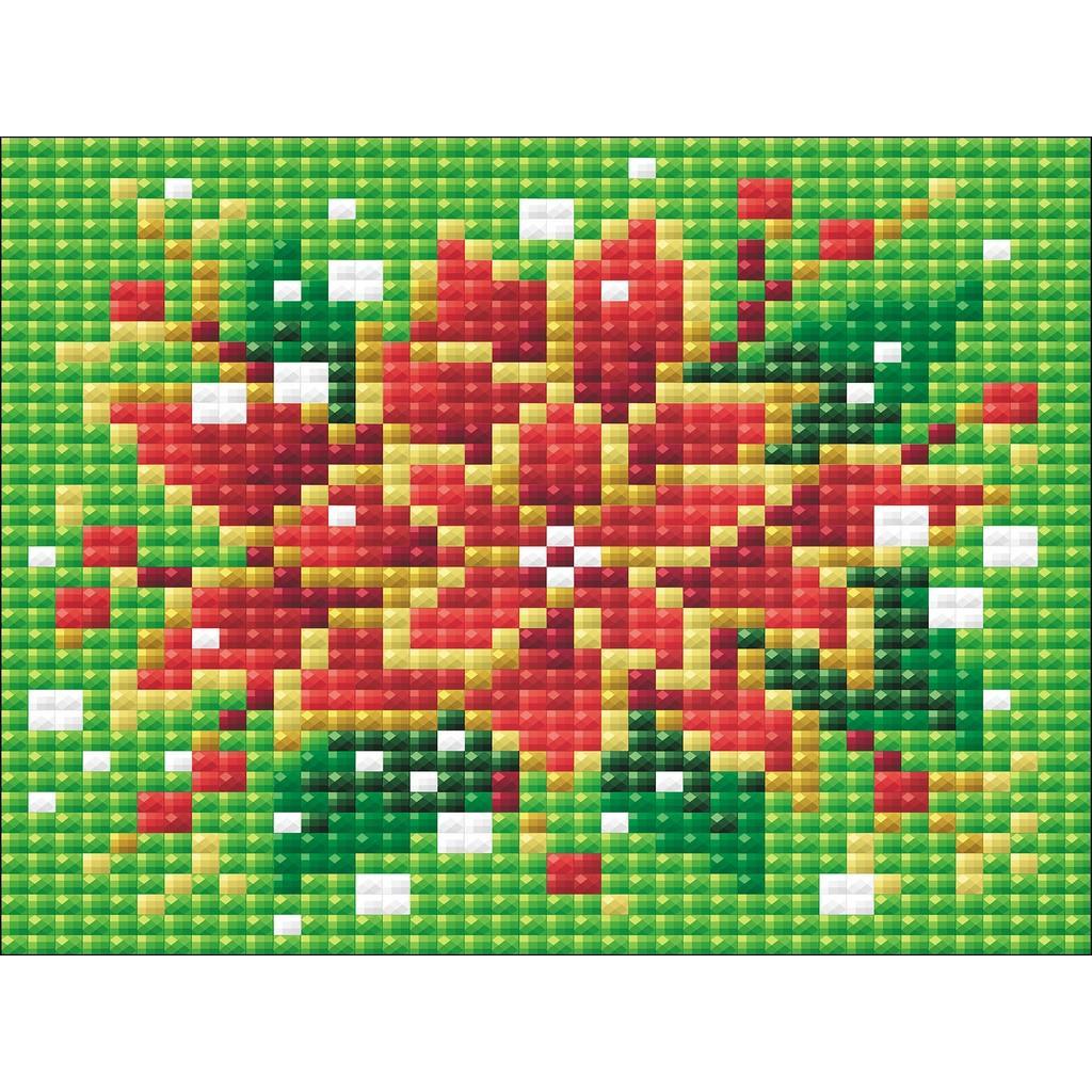 RIOLIS - Needlework and Diamond Mosaic kits - New Arrival