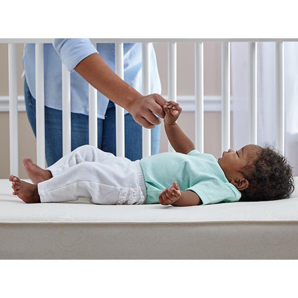 Sealy Soybean Dream Crib and Toddler Mattress 20220032 HSN