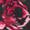 Black Floral