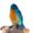 Bluebird