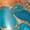 Composite Turquoise/Spiny Oyster