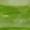 Peridot